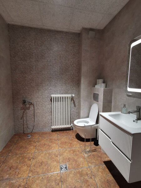 Unirii, spatii pentru firme in vila renovata.